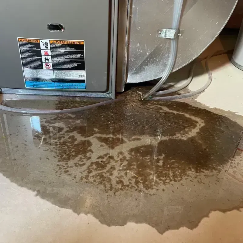 Appliance Leak Cleanup in Huntington, WV